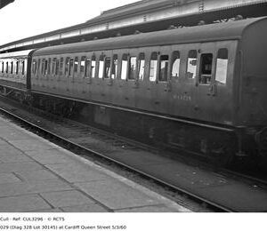 CUL3296
