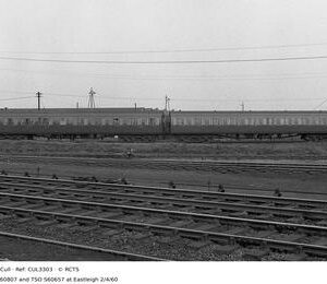 CUL3303
