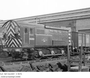 CUL3307