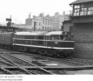 CUL3313