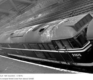 CUL3315