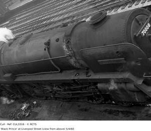 CUL3316