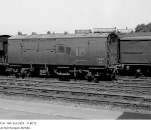 CUL3329
