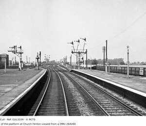 CUL3334