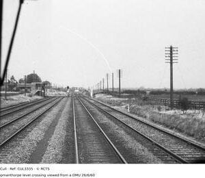 CUL3335