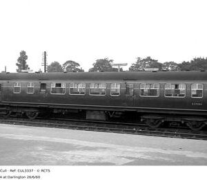 CUL3337