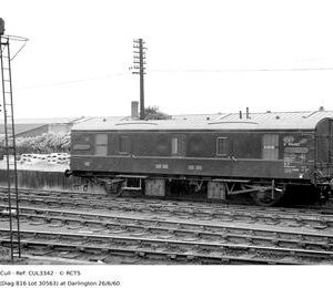 CUL3342