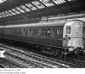 CUL3343
