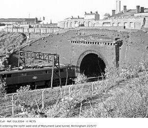 CUL3354
