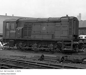 CUL3364
