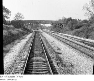 CUL3381