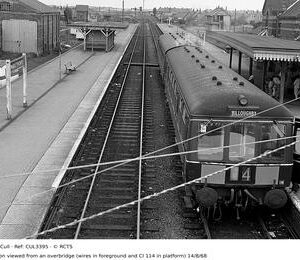 CUL3395