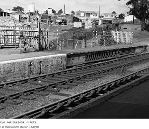 CUL3409
