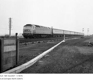 CUL3427