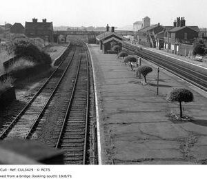 CUL3429