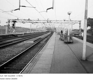 CUL3444