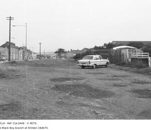 CUL3448