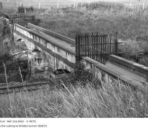 CUL3452