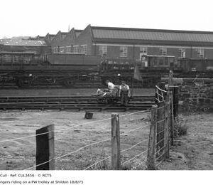 CUL3456