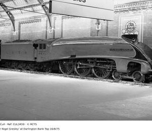 CUL3459