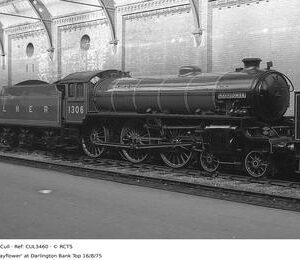 CUL3460