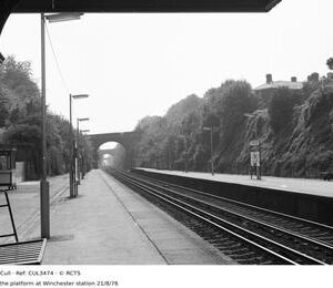 CUL3474