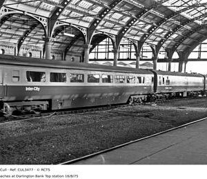 CUL3477