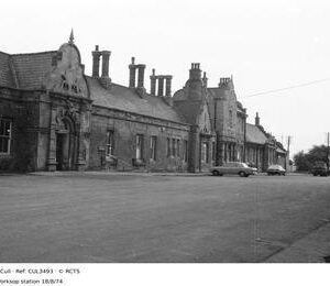 CUL3493