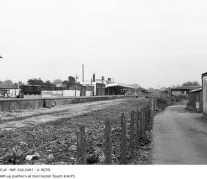 CUL3497