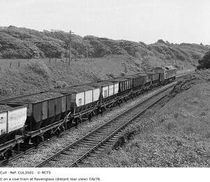 CUL3501