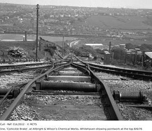 CUL3512