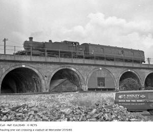 CUL3549
