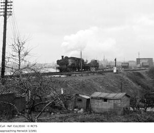 CUL3550