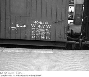 CUL3555