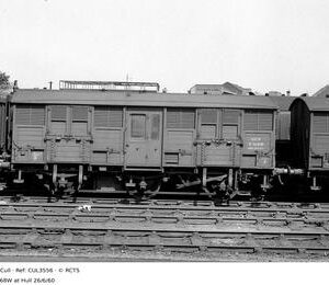 CUL3556