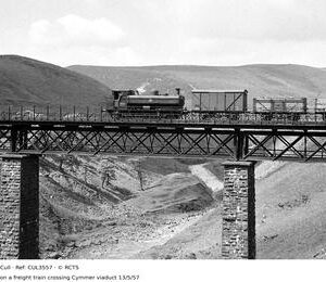 CUL3557