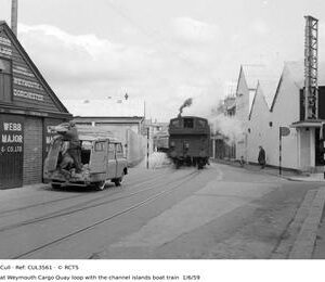CUL3561