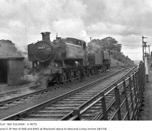 CUL3564