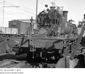 CUL3566