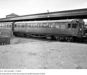 CUL3593