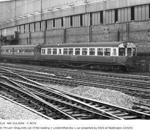 CUL3594