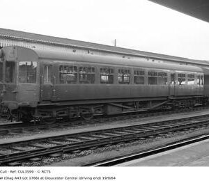CUL3599