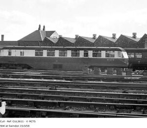 CUL3611