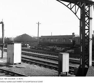 CUL3628