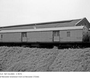 CUL3665