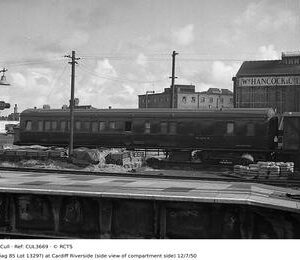 CUL3669