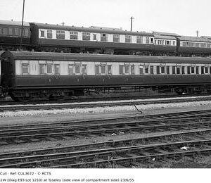 CUL3672