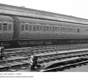 CUL3675