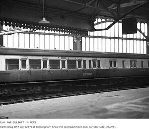 CUL3677