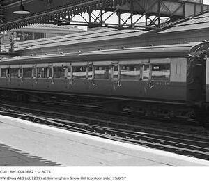CUL3682